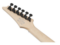Ibanez RG421DX-TWS Ibanez RG421DX-TWS